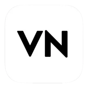 VN LOGO